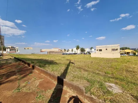imagem 3 - Terreno plano de 360m² à venda - Nova Ribeirânia imagem 3 - Terreno plano de 360m² à venda - Nova Ribeirânia