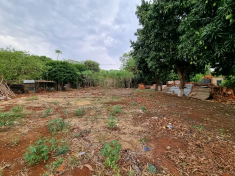 imagem 5 - Terreno de 5.000m² à venda - Recreio das Acácias imagem 5 - Terreno de 5.000m² à venda - Recreio das Acácias