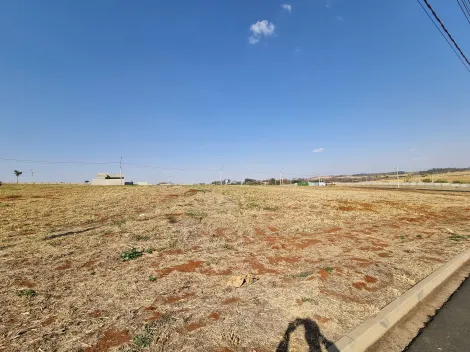 imagem 3 - Terreno de 250m² à venda em condomínio - Village Costa Sul imagem 3 - Terreno de 250m² à venda em condomínio - Village Costa Sul