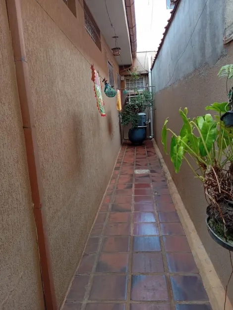 imagem 4 - Casa de 177m² com 03 quartos à venda - Jardim Paulista imagem 4 - Casa de 177m² com 03 quartos à venda - Jardim Paulista