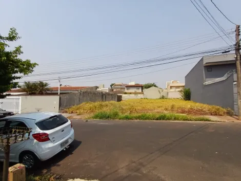 imagem 5 - Terreno de 327m² à venda - Jardim Califórnia imagem 5 - Terreno de 327m² à venda - Jardim Califórnia