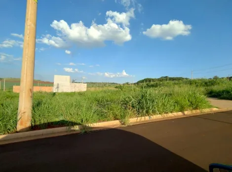 imagem 2 - Terreno - Padrão imagem 2 - Terreno - Padrão