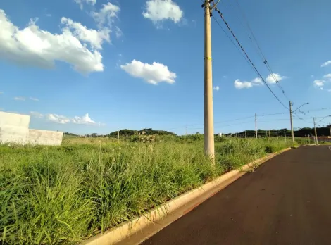 imagem 3 - Terreno - Padrão imagem 3 - Terreno - Padrão