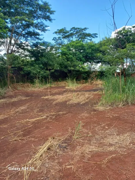 imagem 2 - Terreno de 3200 m² com salão anexo de 190 m² para locação - Jardim Salgado Filho imagem 2 - Terreno de 3200 m² com salão anexo de 190 m² para locação - Jardim Salgado Filho
