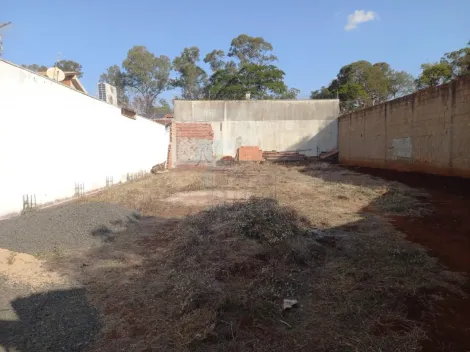 imagem 3 - Terreno de 282m² para venda - Residencial e Comercial Palmares imagem 3 - Terreno de 282m² para venda - Residencial e Comercial Palmares