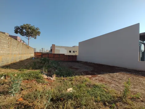imagem 1 - Terreno de 300m² à venda - Jardim Botânico imagem 1 - Terreno de 300m² à venda - Jardim Botânico