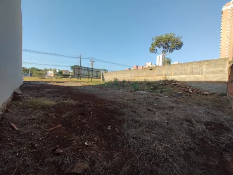 imagem 2 - Terreno de 300m² à venda - Jardim Botânico imagem 2 - Terreno de 300m² à venda - Jardim Botânico