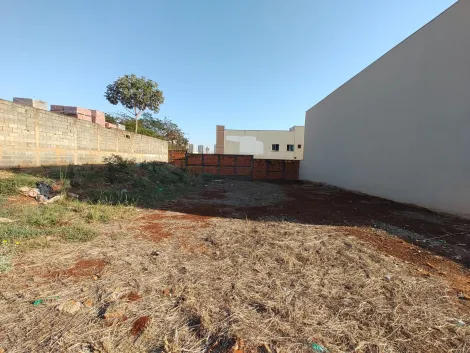 imagem 3 - Terreno de 300m² à venda - Jardim Botânico imagem 3 - Terreno de 300m² à venda - Jardim Botânico