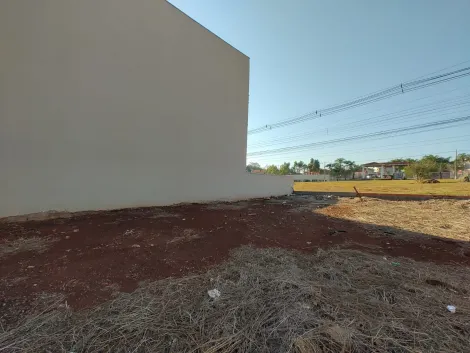 imagem 4 - Terreno de 300m² à venda - Jardim Botânico imagem 4 - Terreno de 300m² à venda - Jardim Botânico
