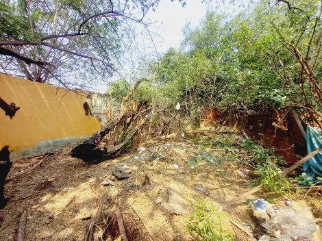 imagem 3 - Terreno de 480m² à venda - Ipiranga imagem 3 - Terreno de 480m² à venda - Ipiranga