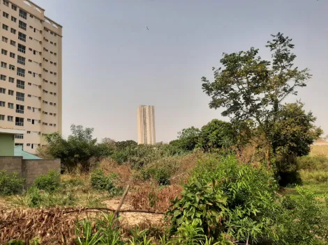 imagem 4 - Terreno de 2073m² para locação e venda  - Jardim Palma Travassos imagem 4 - Terreno de 2073m² para locação e venda  - Jardim Palma Travassos