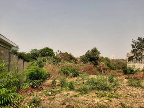 imagem 2 - Terreno de 2073m² para locação e venda  - Jardim Palma Travassos imagem 2 - Terreno de 2073m² para locação e venda  - Jardim Palma Travassos