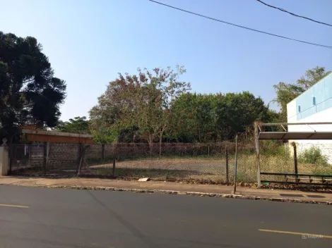 imagem 1 - Terreno de 750m² para locação - Jardim Paulistano imagem 1 - Terreno de 750m² para locação - Jardim Paulistano