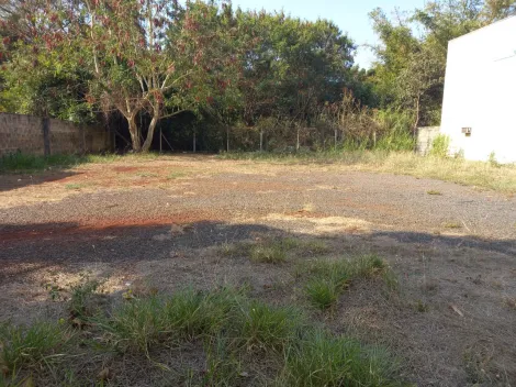 imagem 3 - Terreno de 750m² para locação - Jardim Paulistano imagem 3 - Terreno de 750m² para locação - Jardim Paulistano