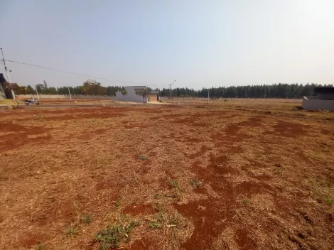 imagem 5 - Terreno de 250m² à venda em condomínio - Quinta da Mata imagem 5 - Terreno de 250m² à venda em condomínio - Quinta da Mata