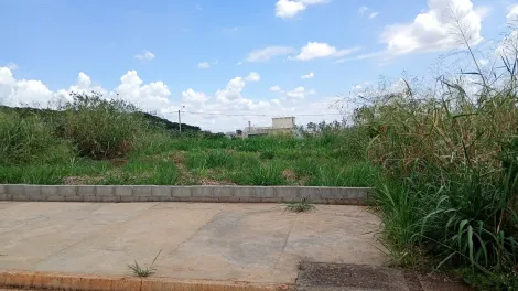 imagem 1 - Terreno de 300m² para locação e venda  - Bonfim Paulista imagem 1 - Terreno de 300m² para locação e venda  - Bonfim Paulista