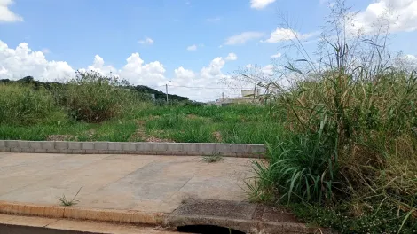 imagem 3 - Terreno de 300m² para locação e venda  - Bonfim Paulista imagem 3 - Terreno de 300m² para locação e venda  - Bonfim Paulista