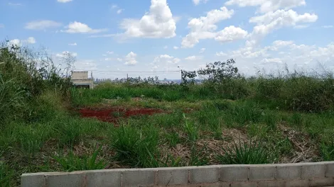 imagem 4 - Terreno de 300m² para locação e venda  - Bonfim Paulista imagem 4 - Terreno de 300m² para locação e venda  - Bonfim Paulista