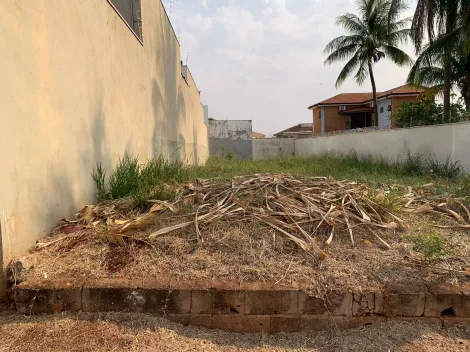 imagem 3 - Terreno de 423m² à venda - Alto da Boa Vista imagem 3 - Terreno de 423m² à venda - Alto da Boa Vista
