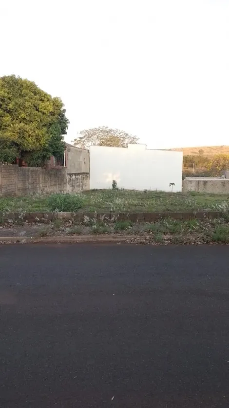 imagem 3 - Terreno - Padrão imagem 3 - Terreno - Padrão
