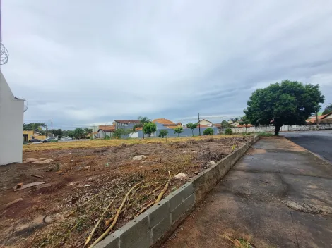 imagem 1 - Terreno 249m² à venda - Nova Ribeirânia imagem 1 - Terreno 249m² à venda - Nova Ribeirânia