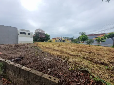imagem 2 - Terreno 249m² à venda - Nova Ribeirânia imagem 2 - Terreno 249m² à venda - Nova Ribeirânia