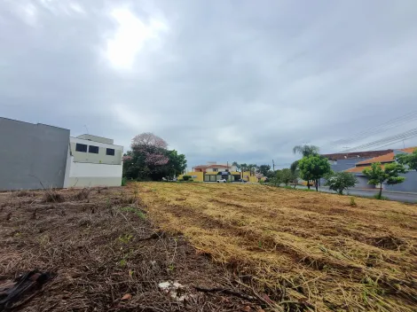 imagem 3 - Terreno 249m² à venda - Nova Ribeirânia imagem 3 - Terreno 249m² à venda - Nova Ribeirânia