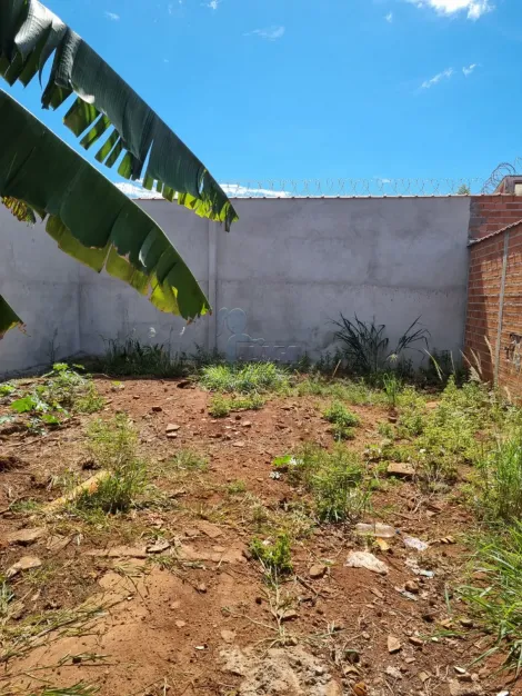 imagem 3 - Terreno com 250m² plano e murado para uso misto à venda - Avelino Alves Palma imagem 3 - Terreno com 250m² plano e murado para uso misto à venda - Avelino Alves Palma