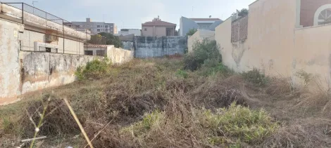 imagem 3 - Terreno de 436m² para venda - Centro Sertãozinho imagem 3 - Terreno de 436m² para venda - Centro Sertãozinho