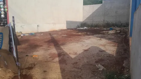 imagem 2 - Terreno de 160m² à venda - Jardim Cristo Redentor. imagem 2 - Terreno de 160m² à venda - Jardim Cristo Redentor.