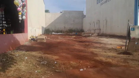 imagem 4 - Terreno de 160m² à venda - Jardim Cristo Redentor. imagem 4 - Terreno de 160m² à venda - Jardim Cristo Redentor.