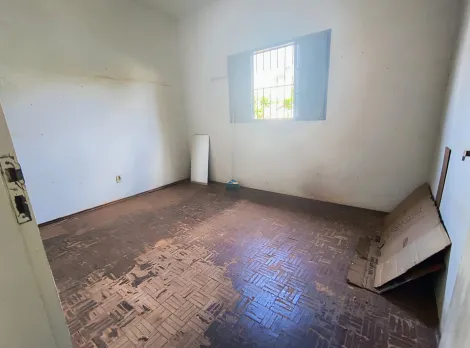 imagem 5 - Casa/Padrão residencial - No bairro Parque dos Bandeirantes imagem 5 - Casa/Padrão residencial - No bairro Parque dos Bandeirantes