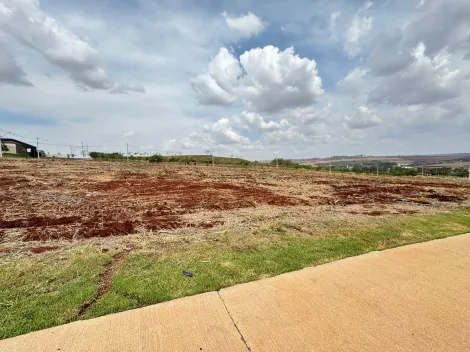 imagem 2 - Terreno comercial de 388m² à venda - Village Costa Sul imagem 2 - Terreno comercial de 388m² à venda - Village Costa Sul