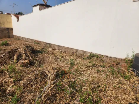 imagem 1 - Terreno misto de 250m² à venda - Residencial e Comercial Palmares imagem 1 - Terreno misto de 250m² à venda - Residencial e Comercial Palmares