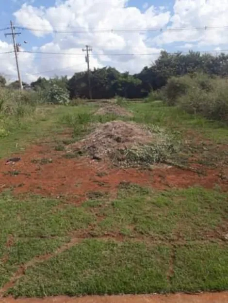 imagem 1 - Terreno de 216m² para venda e locação - Jardim Cristo Redentor imagem 1 - Terreno de 216m² para venda e locação - Jardim Cristo Redentor