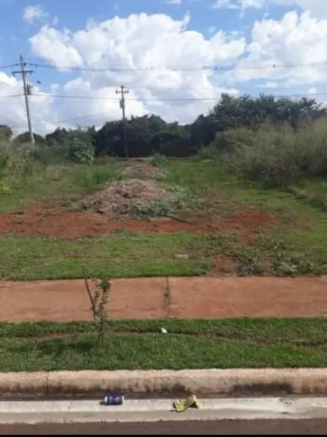 imagem 2 - Terreno de 216m² para venda e locação - Jardim Cristo Redentor imagem 2 - Terreno de 216m² para venda e locação - Jardim Cristo Redentor