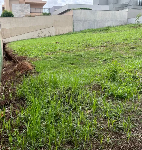 imagem 4 - Terreno de 410m² à venda - Vila do Golfe imagem 4 - Terreno de 410m² à venda - Vila do Golfe