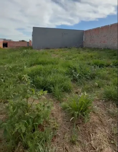 imagem 3 - Terreno amplo de 200m² à venda - Bella Cravinhos imagem 3 - Terreno amplo de 200m² à venda - Bella Cravinhos