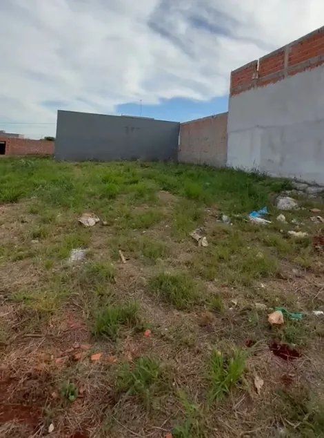 imagem 1 - Terreno amplo de 200m² à venda - Bella Cravinhos imagem 1 - Terreno amplo de 200m² à venda - Bella Cravinhos