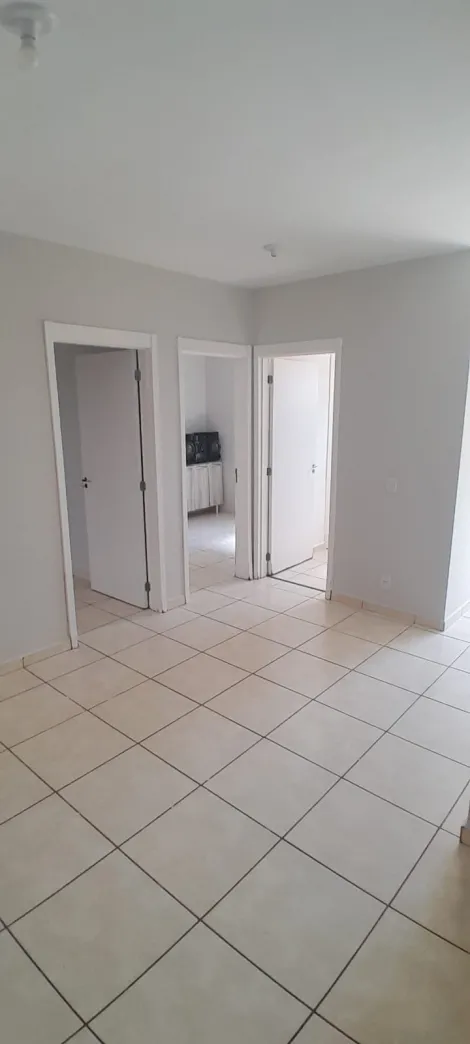 imagem 1 - Apartamento de 41m² com 02 quartos à venda - Jardim Silvio Passalacqua imagem 1 - Apartamento de 41m² com 02 quartos à venda - Jardim Silvio Passalacqua