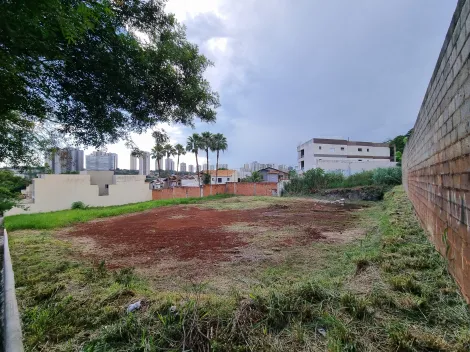 imagem 3 - Terreno misto de 640m² à venda - Jardim Botânico imagem 3 - Terreno misto de 640m² à venda - Jardim Botânico