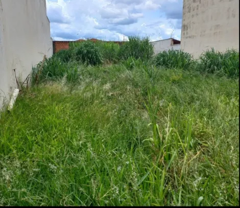 imagem 1 - Terreno de 250m² à venda - Nova Ribeirânia imagem 1 - Terreno de 250m² à venda - Nova Ribeirânia