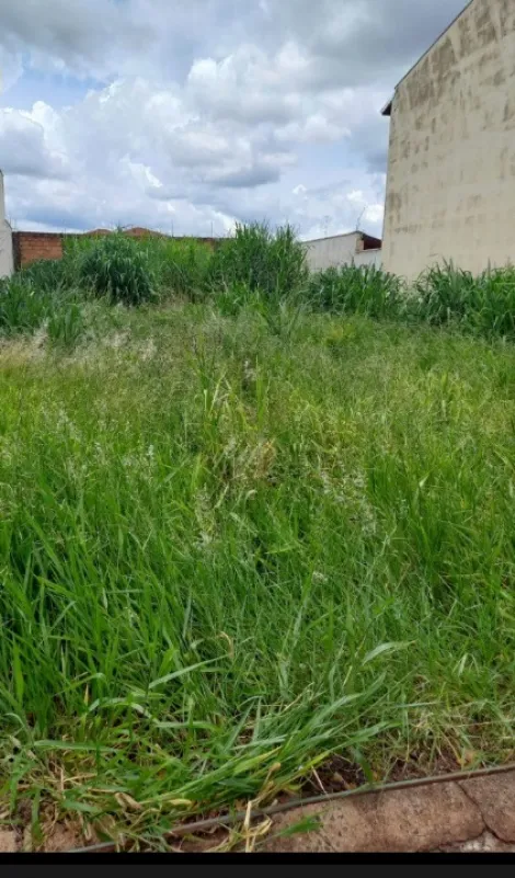 imagem 2 - Terreno de 250m² à venda - Nova Ribeirânia imagem 2 - Terreno de 250m² à venda - Nova Ribeirânia