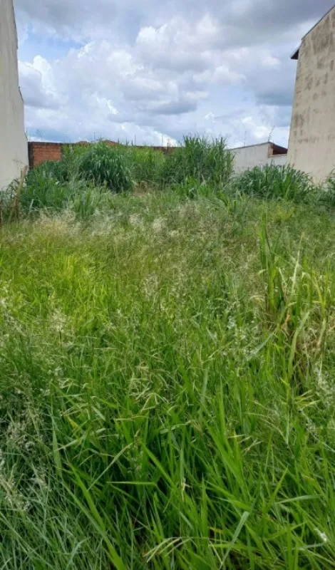imagem 3 - Terreno de 250m² à venda - Nova Ribeirânia imagem 3 - Terreno de 250m² à venda - Nova Ribeirânia
