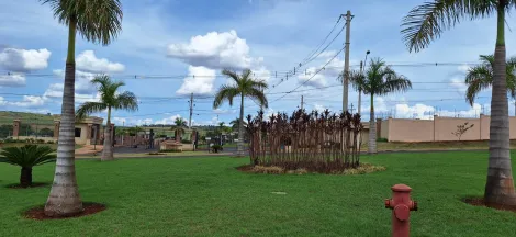 imagem 3 - Terreno de 250m² à venda em condomínio - Quinta da Mata imagem 3 - Terreno de 250m² à venda em condomínio - Quinta da Mata