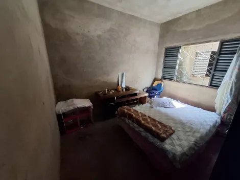 imagem 3 - Casa - Padrão imagem 3 - Casa - Padrão