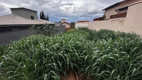 imagem 1 - Terreno de 508m² à venda - City Ribeirão imagem 1 - Terreno de 508m² à venda - City Ribeirão