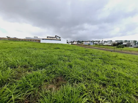 imagem 3 - Terreno de 317m² em condomínio à venda - Cravinhos imagem 3 - Terreno de 317m² em condomínio à venda - Cravinhos