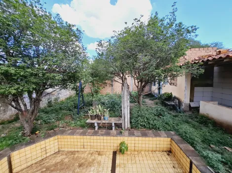 imagem 5 - Casa - Padrão imagem 5 - Casa - Padrão