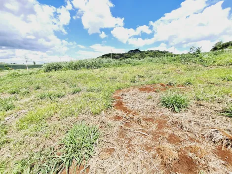 imagem 2 - Terreno de 256m² à venda - Bonfim Paulista imagem 2 - Terreno de 256m² à venda - Bonfim Paulista